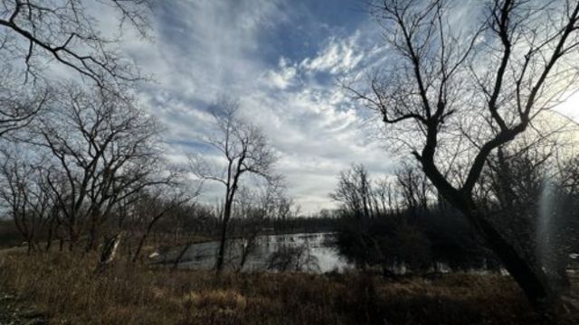 Hike Through Paradise: Explore 7 Stunning Lagoons in Illinois