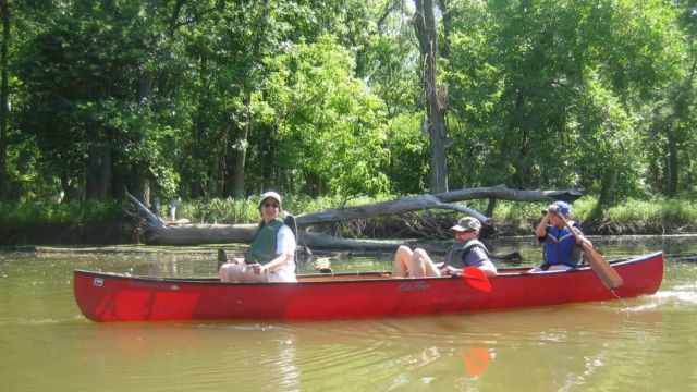 Hike Through Paradise: Explore 7 Stunning Lagoons in Illinois