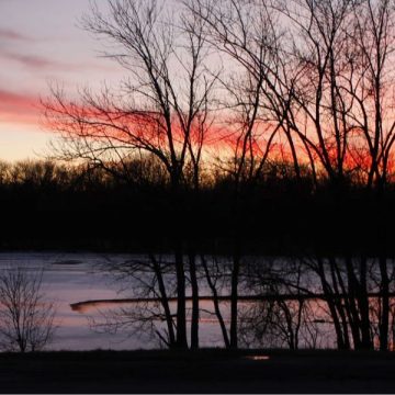 Hike Through Paradise Explore 7 Stunning Lagoons in Illinois