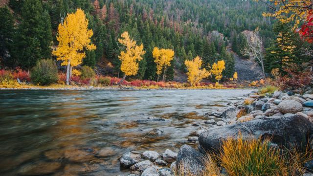 Idaho's Historic Gems: Top Oldest Small Towns to Explore