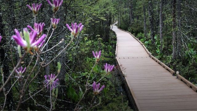 Maine’s Undiscovered Paradise: A Quiet City with Big Savings