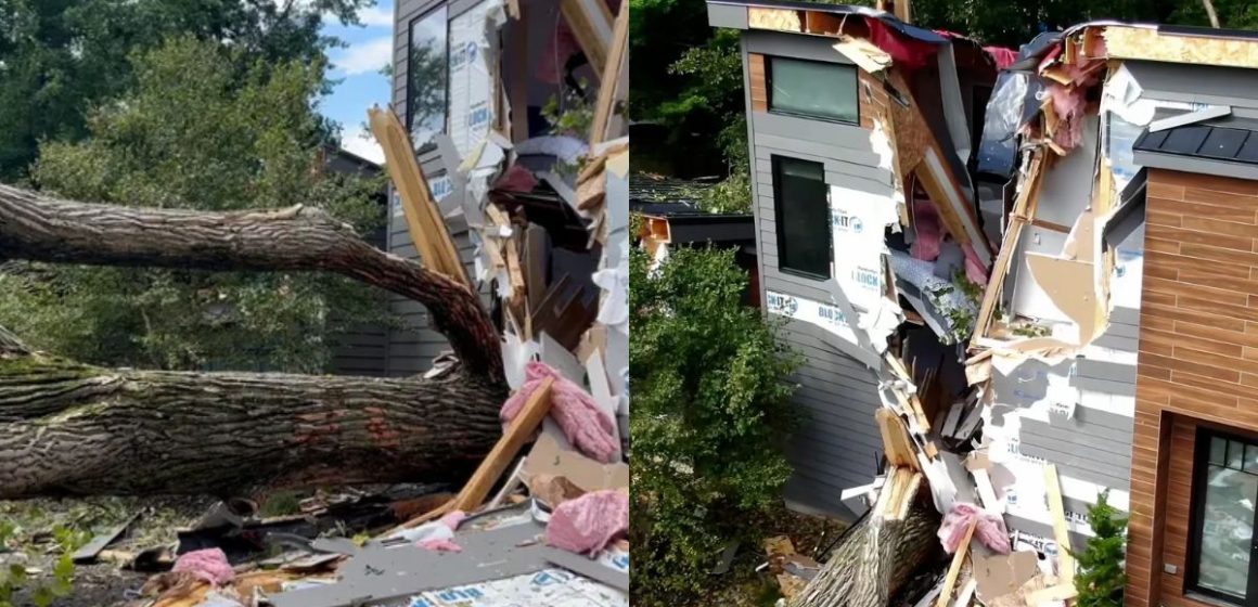 Michigan Home Split in Half by Falling Trees During Severe Storm