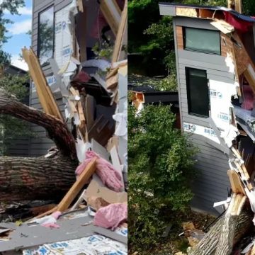 Michigan Home Split in Half by Falling Trees During Severe Storm