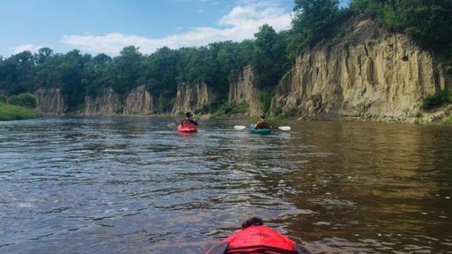 Minnesota’s Slithering Hotspots: The Most Snake-Infested Lakes Revealed