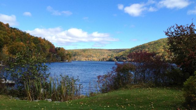 Snake Hotspots: The Most Infested Lakes in Connecticut