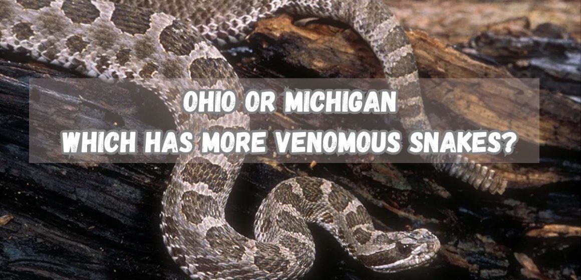 State Comparison: Venomous Snake Populations in Ohio and Michigan