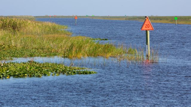 Warning: The Most Snake-Infested Lake in Florida Revealed