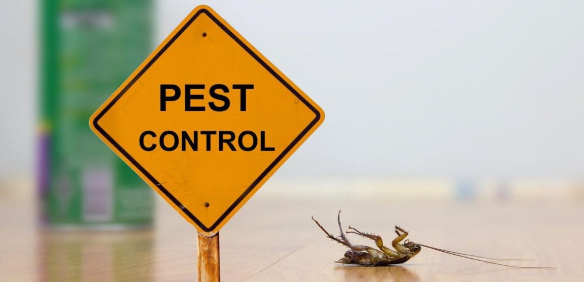 Autumn Pest Prevention for Tenants: Simple Steps to Keep Bugs Away