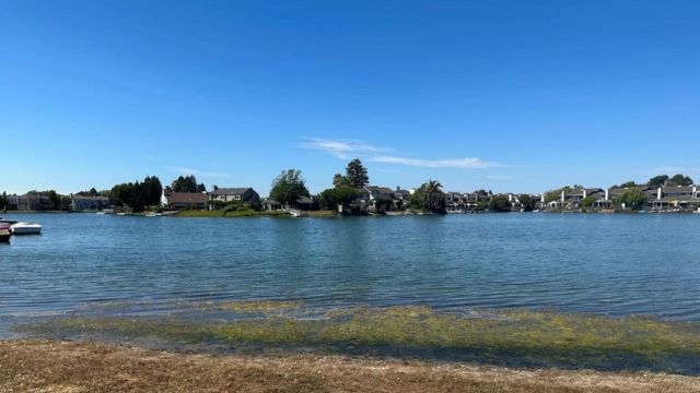 Beach Alert: Contaminated California Beaches You Shouldn't Visit