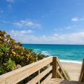 Before You Swim in Palm Beach, Florida – Know This Hidden Danger