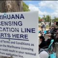 Cannabis Craze in Redford Weeks of Camping for a Chance at Marijuana Licenses