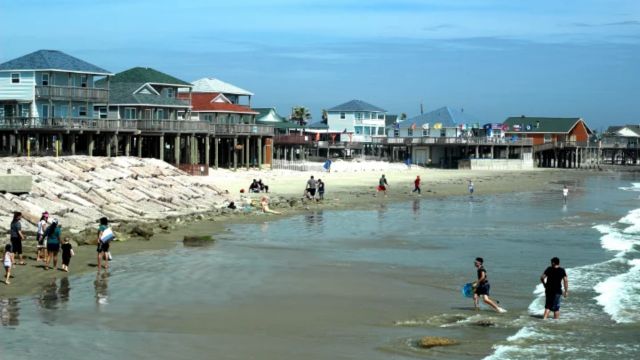 Dangerous Waters Top Texas Beaches with the Most Shark Sightings and Encounters