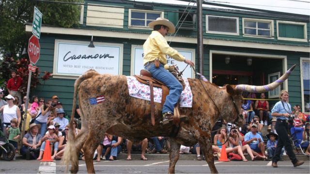 Hawaii’s Hidden Gem: The Cowboy Capital Offering a Unique Tropical Experience