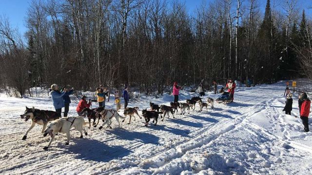 Minnesota's North Shore: A Winter Haven for Solitude Seekers