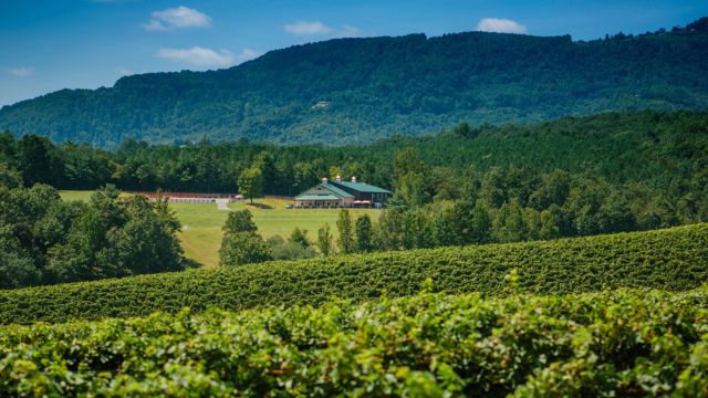 Napa Isn’t the Only Star: You Should Explore These Hidden Wine Havens