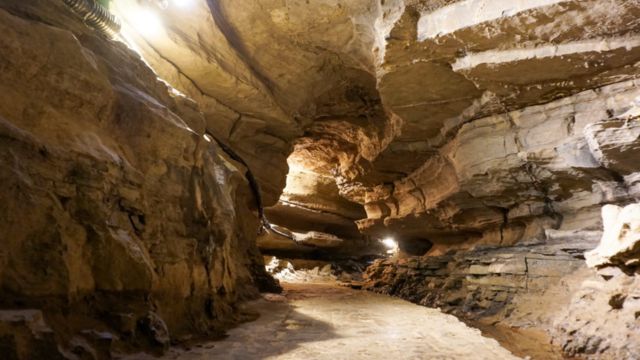 New York's Underground Oasis: The Hidden Waterfall You Won’t Believe Exists