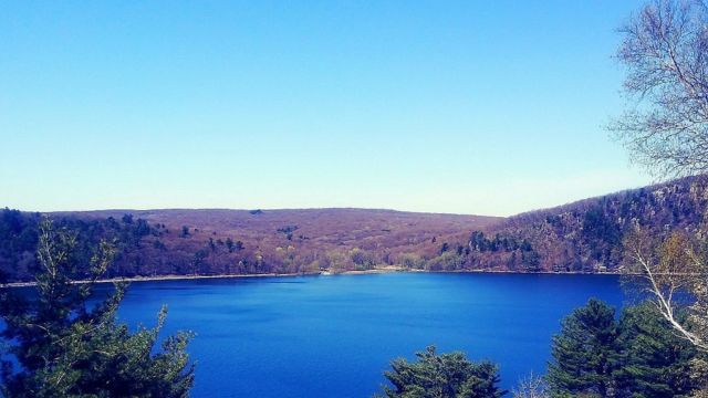 The Snake-Infested Waters of Wisconsin: Lakes You Might Want to Avoid