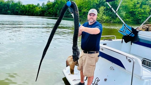 The Top Snake-Infested Lakes in Indiana You Should Know About