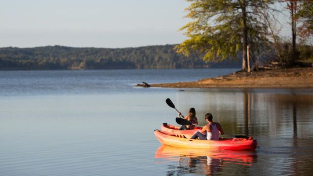 The Top Snake-Infested Lakes in Indiana You Should Know About