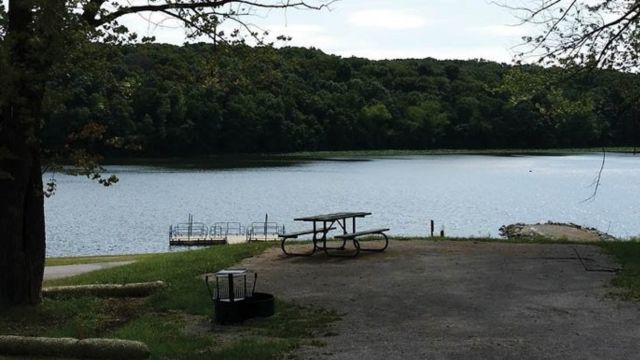 Top 5 Snake-Infested Lakes in Iowa: Where You Might Encounter Serpents