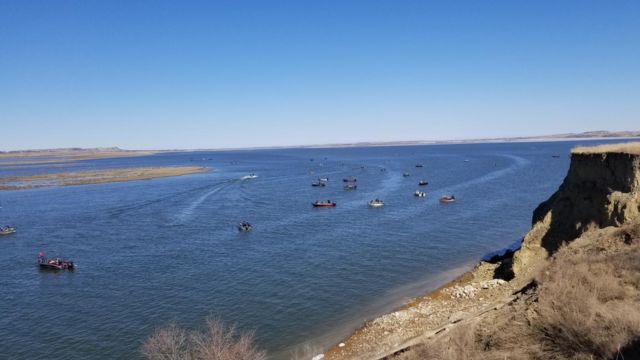 Top Snake-Infested Lakes in North Dakota: A Dangerous Swim