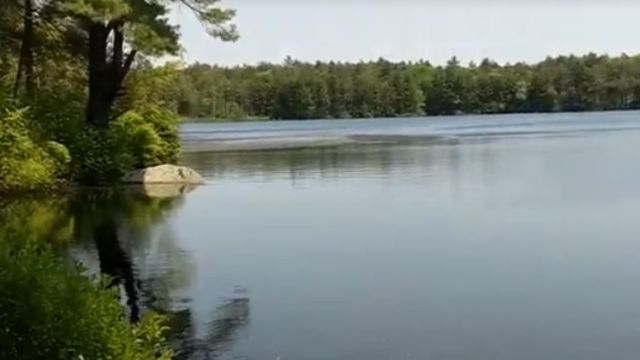 Top Snake-Infested Lakes in Rhode Island: A Guide for Adventurers