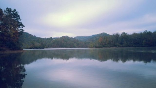 West Virginia's Top 5 Snake-Infested Lakes You Should Avoid