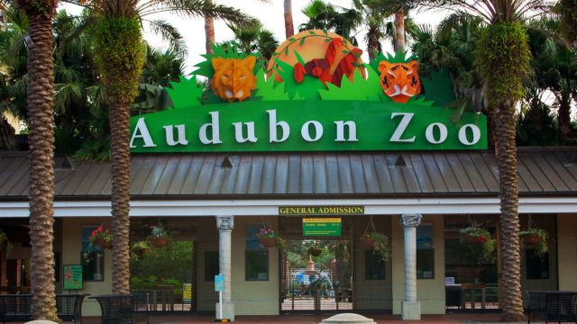 Why this New Orleans Zoo Stands Out as One of 