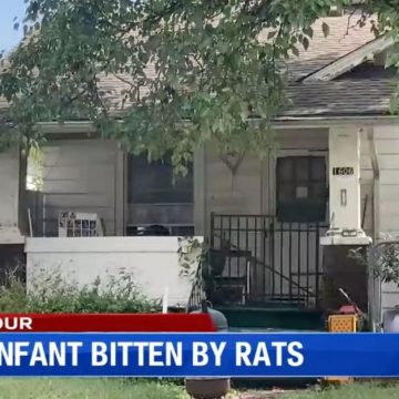 Mother of baby found with over 50 rat bites and ‘very near to death’ just got no prison time