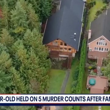 15-year-old ‘systematically murdered’ his family and tried to frame younger brother, but got caught after sister played dead and told the truth: Sheriff’s office