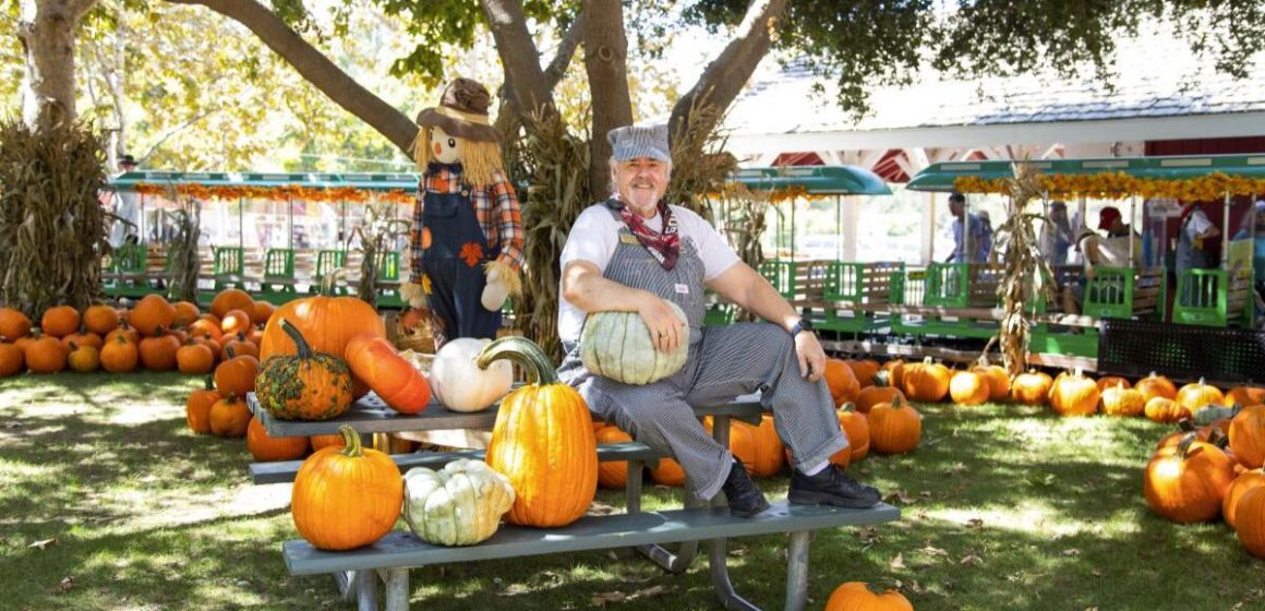 A Whimsical Fall Experience Discover California’s Premier Pumpkin Patch