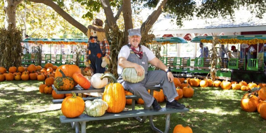 A Whimsical Fall Experience Discover California’s Premier Pumpkin Patch