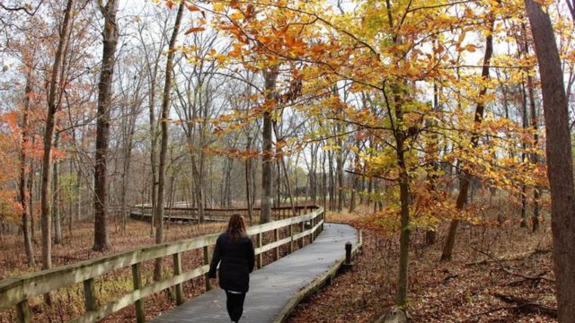 Dare to Hike? The Spookiest National Park Trails Known for Hauntings