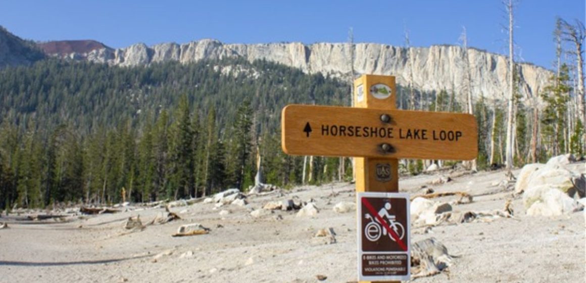 Deceptive Beauty: The Untold Danger of California's Serene Lake