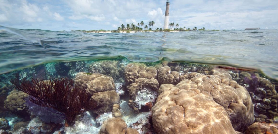 Florida's Oceans Are Changing Here's Why You Should Be Concerned