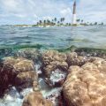 Florida's Oceans Are Changing Here's Why You Should Be Concerned