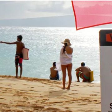 Is Hawaii Really Dangerous Safety Tips for a Perfect Island Vacation