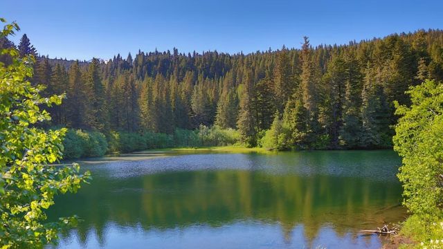 Legends of Yosemite's Eerie Lake: The Most Haunted Place in the Park