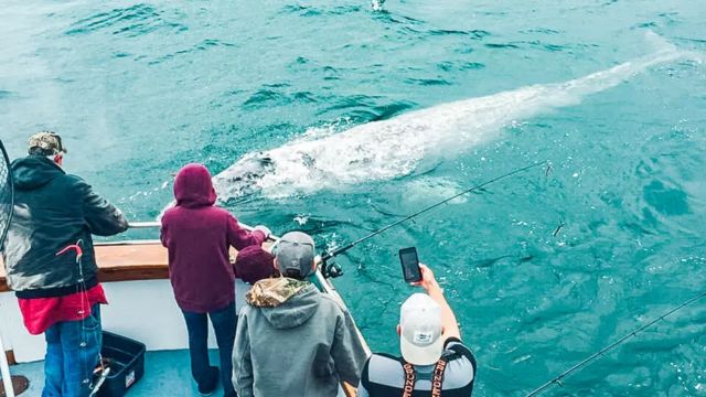 Oregon's Whale Watching Capital: A Beach Town You Can't Miss