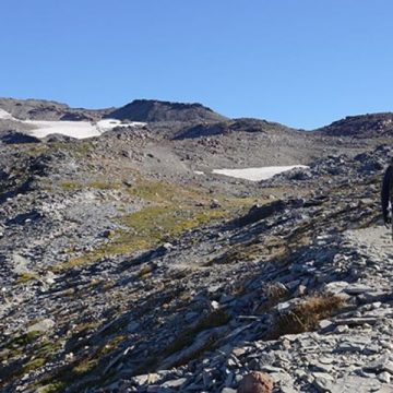 The Most Dangerous Hikes in Mount Rainier National Park