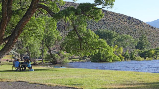 Watch Out! Nevada's Lakes With the Highest Snake Populations