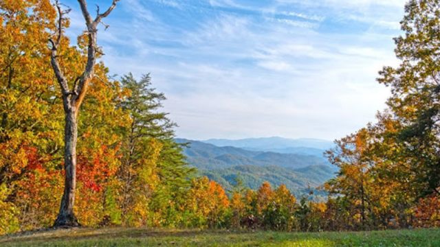 Where to Find the Best Fall Vibes in Tennessee’s Towns This 2024