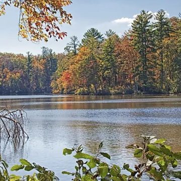 Where to Find the Best Fall Vibes in Tennessee’s Towns This 2024