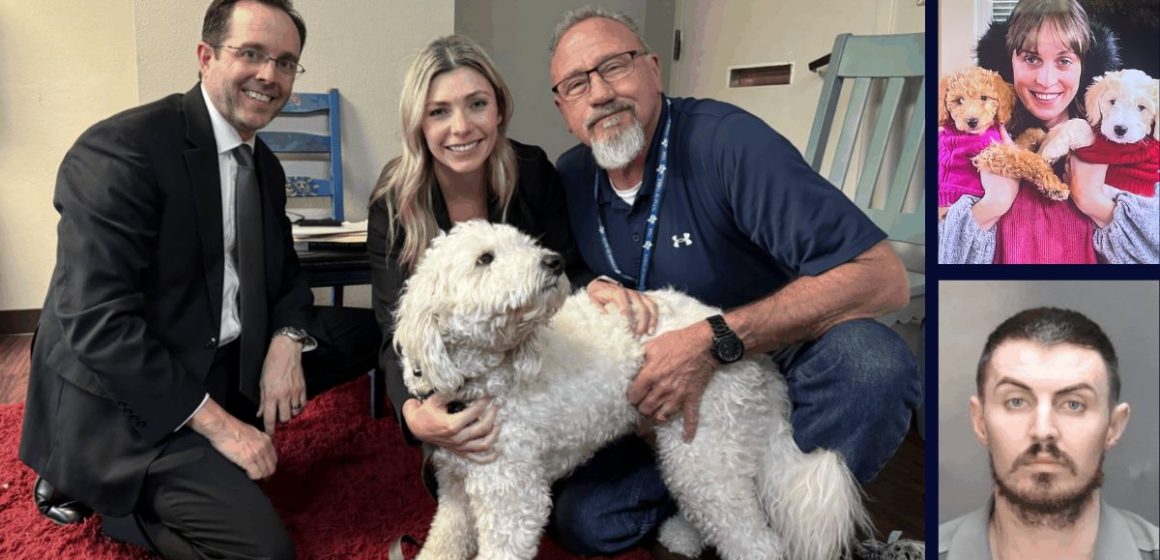 Microchipped labradoodle that stayed at scene of owner’s murder was key to finding killer