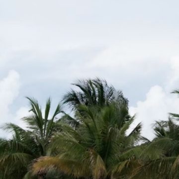 Miami to Enjoy Mid-80s and Breezy Weather with a Chance of Showers This Week