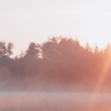 Morning Fog Enshrouds the Charlotte Area, and Commuters Are Advised to Travel with Caution