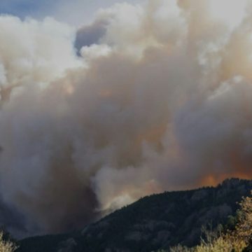 Los Angeles on High Alert for Wildfire Risk Amid Powerful Winds and Red Flag Warning