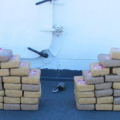 Berrien County Deputies Intercept 123 Pounds of Cocaine on I-94, Canadian Trucker Charged in Major Drug Bust