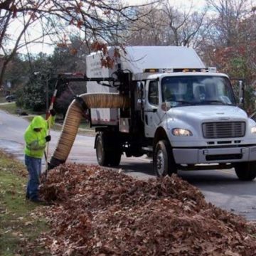 Seasonal Loose Leaf Collection Service in Raleigh Begins November 12 with Residents Advised to Check Schedule for Updates