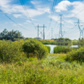 Ohio Supreme Court Grants Ohio Edison Green Light to Use Herbicides under Power Lines